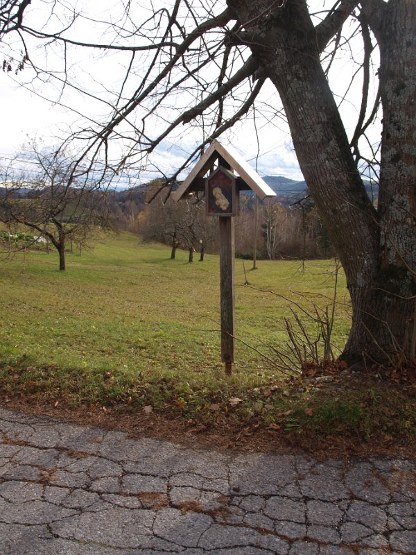 Pr' Cesti1